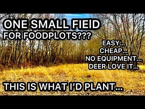 ONLY 1 SMALL AREA TO FOOD PLOT...THIS IS WHAT ID PLANT