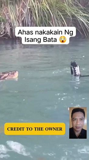 2.7K views · 13 reactions | RETICULATED PYTHON look's it swallowed a KID  #reticulatedpython #reactionreels #followersシ゚ #fypシ゚ | Dhon-Dhon Layba Sumalapao | Facebook