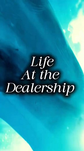Life at the Dealership: a car sales documentary #funny #hollywood #documentary | Amgjarred