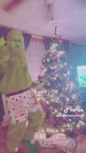 #relatable #grinch #grinchtok #grinchmakeup #grinchstolechristmas #grinchy #grinchmas2024 #thegrinch #fyp #christmas #stankyleg