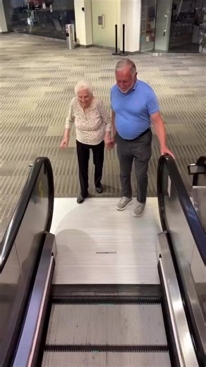 A thread of funny videos that will make your day. . . . 1. Don't look  | 퐙퐨퐲퐚 퐓퐲퐩퐞퐬퐭 | Facebook