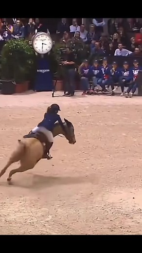 Exciting Horse Jumping Video Compilation