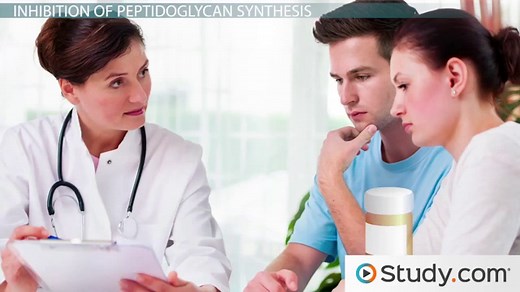 Inhibitors of Cell Wall Synthesis | Overview & Examples