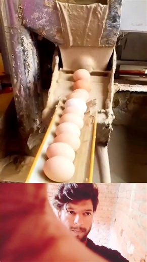 48K views | egg protective film making | Mouse trap 2022 | Facebook