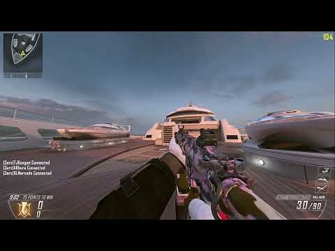 Call of Duty Black Ops 2 Plutonium || How to play with bots and gain XP