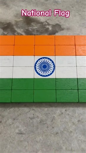 National flag using dominos,India National flag using wooden dominos,#shorts,#youtube,#readingparrot
