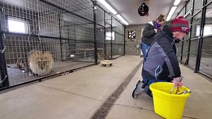 42K views · 2.1K reactions | Donations DOUBLED - only 11 days left:...