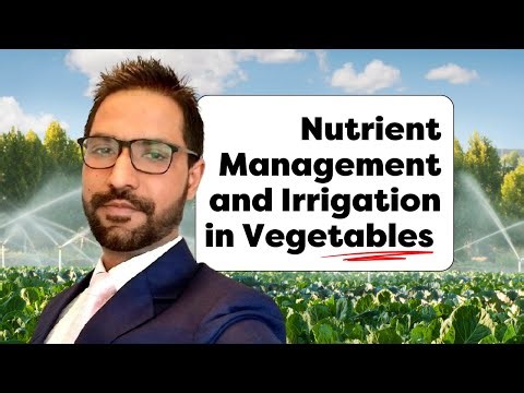 Management Practices in Vegetable Crops - Dr. Bhupinder Jatana