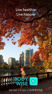 BodyWise 2.0 Features New Design, Fitbit And Jawbone UP Syncing Plus More