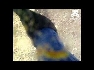 Furious Llama spits at tourists