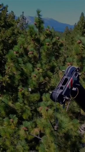 Protect your Home. Preserve the Beauty. Call Dan the Tree Man Today! 530-957-4819. #winterreadiness #treeservice #danstreeservice | Daniel Hovarter Tree Service