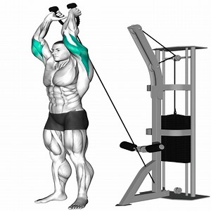 41K views · 1.6K reactions | Defined Arm Dynamics | Fitness routines | Facebook