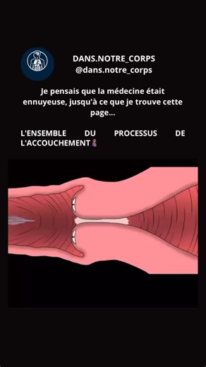 DANS.NOTRE_CORPS on Instagram: "Vous êtes-vous déjà demandé comment une simple cellule minuscule se transforme en une vie humaine entière ? De la fécondation à la naissance, ce voyage à l’intérieur du corps humain est plus magique que n’importe quel film. Voici tout le processus de formation d’un bébé... expliqué simplement. Suivez @dans.notre_corps pour en savoir plus #HumanBodyFacts #PregnancyFacts #ChildbirthJourney..."