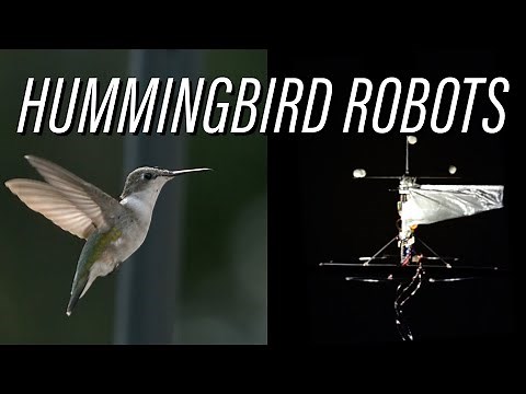 Hummingbird Robots: Naturally Intriguing