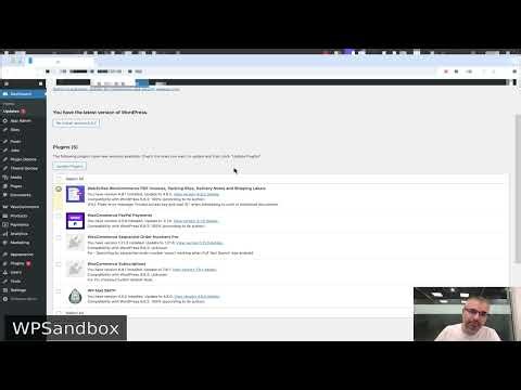 How to Update WordPress Plugins