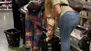 Earlier today, Animal Rebellion took action in 4 cities around the country blocking the dairy aisles as part of the Plant-Based Future campaign. Why? We are in a climate crisis, and one of the key causes is animal farming - an industry based on cruelty and exploitation. We have two simple demands: Government supports farmers and fishing communities to move away from animal farming and fishing as part of an urgent and immediate transition to a plant-based food system. Government commits to rewild