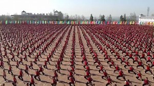 44K views · 1K reactions | Shaolin Kung Fu festival | Crazy China | Facebook