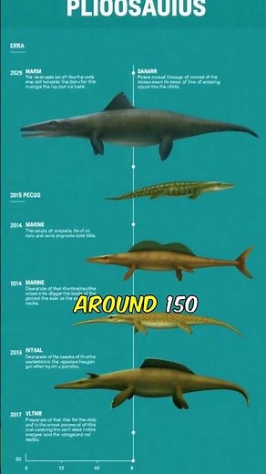 Dino Fun Facts: Pliosaurus