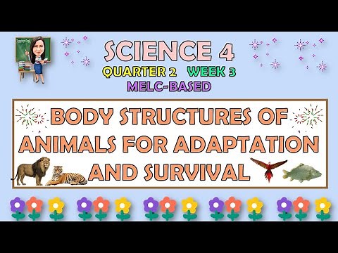 SCIENCE 4 || QUARTER 2 WEEK 3 | BODY STRUCTURES OF ANIMALS FOR ADAPTATION AND SURVIVAL | MELC-BASED