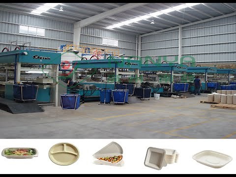 How to Make Bagasse Pulp Tableware?