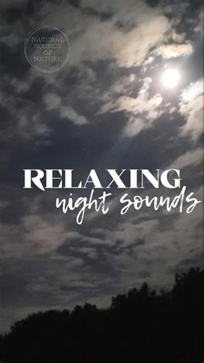 RELAXING night sounds