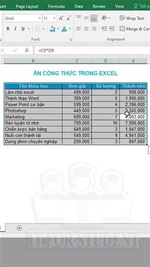 How to hide formulas in Excel