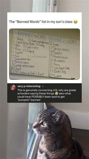 The Banned Words List In My Son’s Class Is Genuinely Concerning 😭 #classroombannedwords