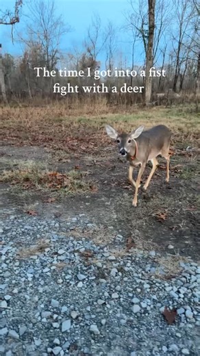 @girlyspace_ig on Instagram: "😭😭😂😂"