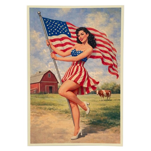 Vintage Americana Pin-up Poster | Classic Patriotic Mid-century Illustration Pin up Girl Posters - Etsy