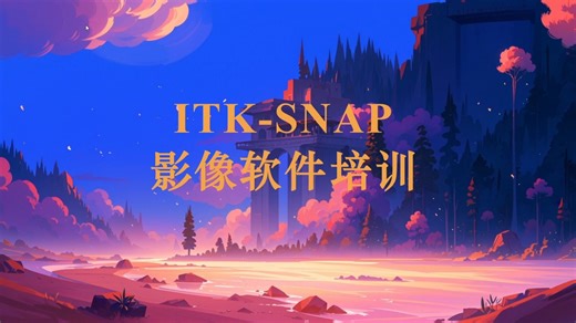 影像组学自动分割ITK-SNAP科研软件保姆级教学最全教程！