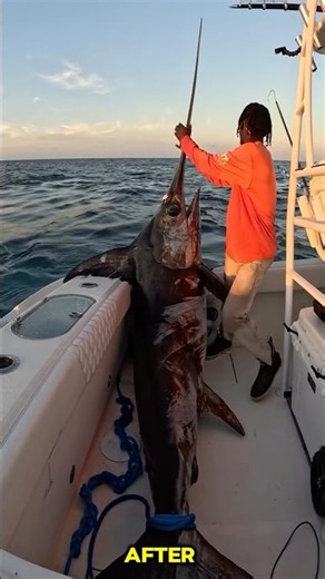 Mini To MONSTROUS Animal Growth Journeys! 🤯 #animals #wildlife #animaltransformation