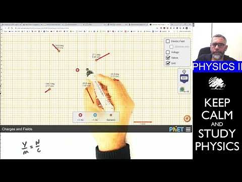 PHY102 LIVE - ELECTRIC FIELD LAB