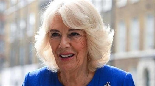 Wasp attack on Queen comes days after Camilla's remarks