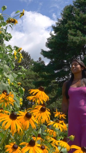 Last Chance to experience Van Gogh's work like never before. | New York Botanical Garden