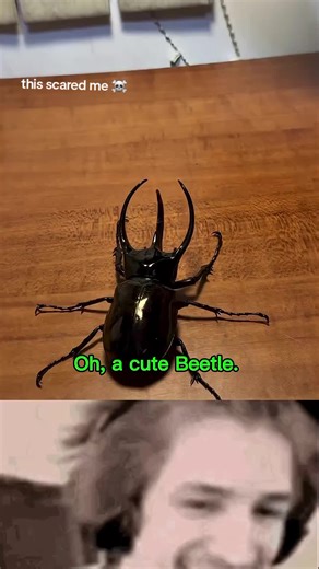 Engage with Fun Random Comments to Support Channels