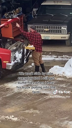 Farm Life: A Dairy Farmer's Love Story