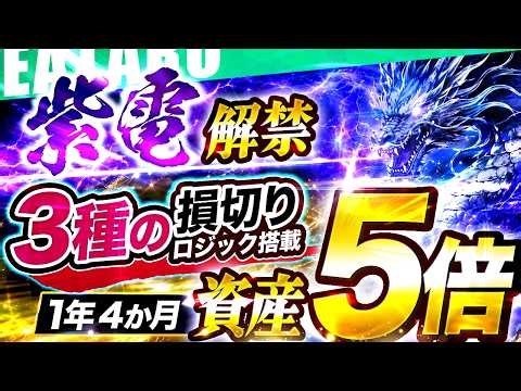 【新EA】FX自動売買ツール「紫電」｜MT5対応・相場適応型3重損切りロジック搭載｜分析データで徹底検証【初心者向けEA】