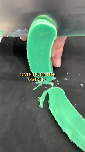 Rodent Control Solutions For Homeowners & Pest Pros on Instagram: "Does Irish spring soap work to repel rats?"