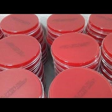 Los mejores consejos para la preparación de agar sangre
