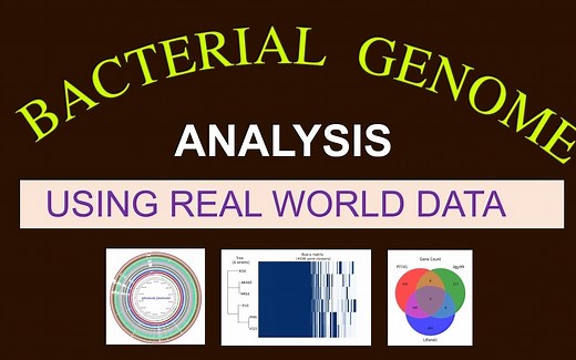 细菌全基因组序列分析的生物信息学教程|比较基因组学