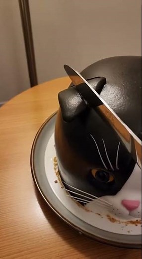He Cuts a Cat Cake, and the Real Cat Hisses & Yowls!