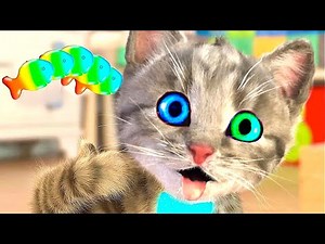 Animated Little Kitten friends Adventure - Funny Cat Play Fun Pet Care learning Cartoon for children