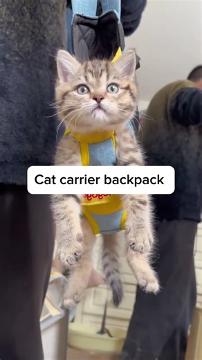 Cat carrier backpack #cat #cataccessories #bestpetsupplies #pets