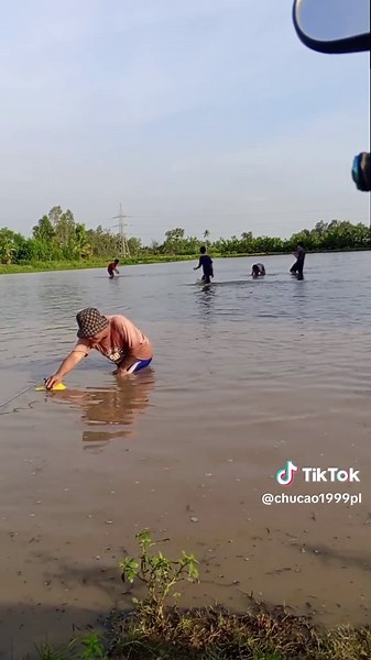 Giới thiệu xu hướng boba Thái Lan trên TikTok