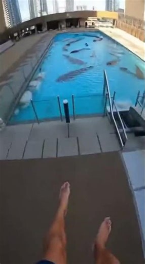 outdoor waterslide pool full of cat fish? #funny #memes