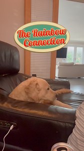 4.8K views · 67 reactions | The Rainbow Connection -The Carpenters by #sarahleeentertainer #therainbowconnection #thecarpenters #KarenCarpenter #Carpenters | Sarah Lee - Entertainer | Facebook