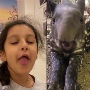Imitating this cute baby tapir 😍😍😍 #loveforanimals | Sitara Ghattamaneni