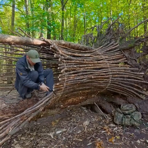 19K views · 380 reactions | Constructing a Safe and Comfortable Survival Hollow in the Root of a Fallen Spruce, Bushcraft | Naomie ASMR | Facebook