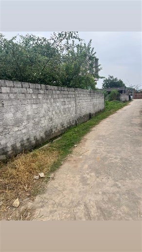 1.6K views | Hơn300m tại muối lan mẫu Mặt tiền 11m Vị trí quá đẹp để đầu tư sd, gần cách khu đấu giá lan mẫu, hồ điều hoà chỉ 30-50m Giá chỉ hơn 2 tỉ tí thôi ạ Lh 0973222818 | Bđs Luân Cá Sấu | Facebook