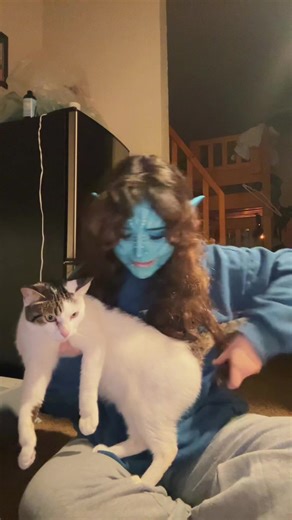 Understanding Cat Scratches and Sensations